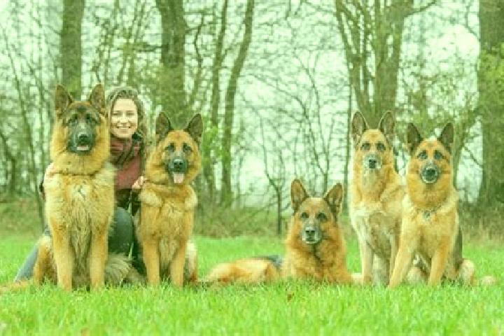Escorts Garding, Germany — Local Companions