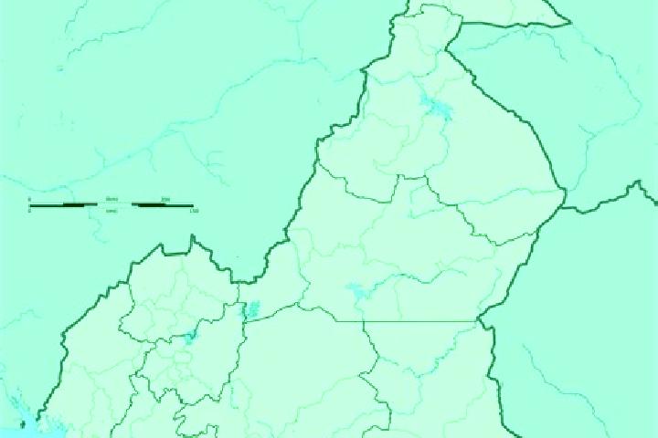Escorts Garoua Boulai, Cameroon — Local Companions