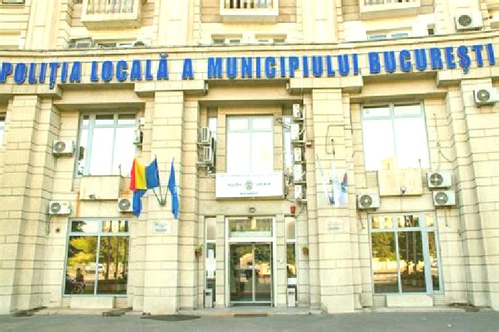 Escorts Garvan, Romania — Local Companions