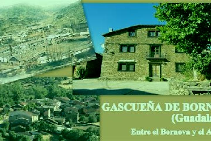 Escorts Gascuena de Bornova, Spain — Local Companions