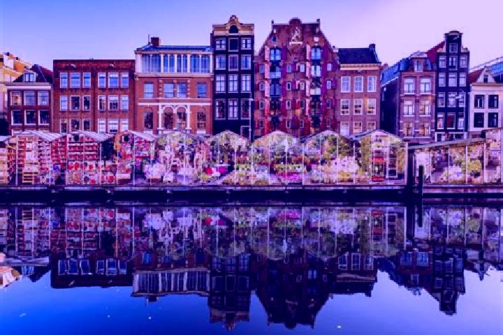 Escorts Gasselte, Netherlands — Local Companions