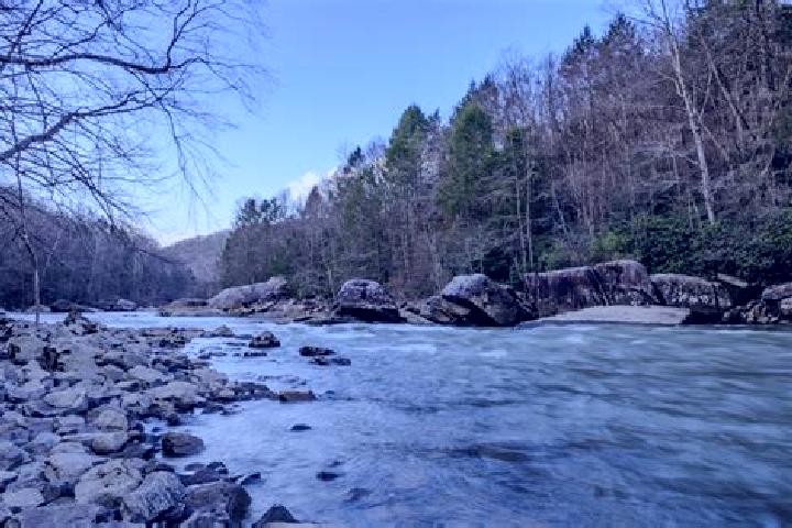 Escorts Gauley Bridge, United States — Local Companions