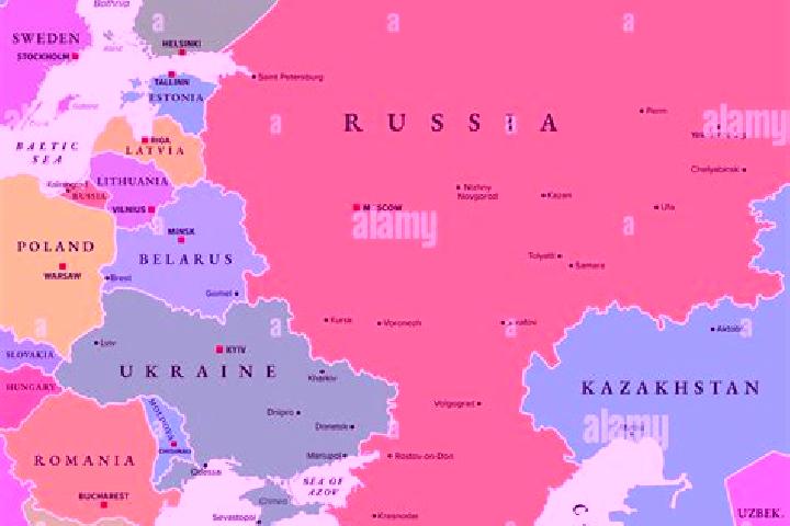 Escorts Gayny, Russia — Local Companions