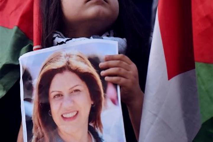 Escorts Gaza, Palestine — Local Companions