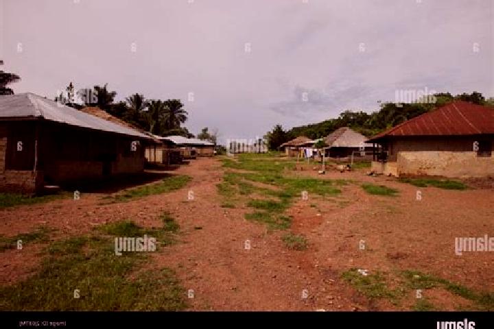 Escorts Gbewebu, Sierra Leone — Local Companions