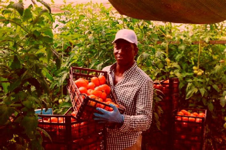 Escorts Geidam, Nigeria — Local Companions