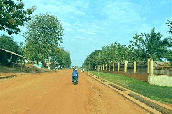 Escorts Gemena, DR Congo — Local Companions