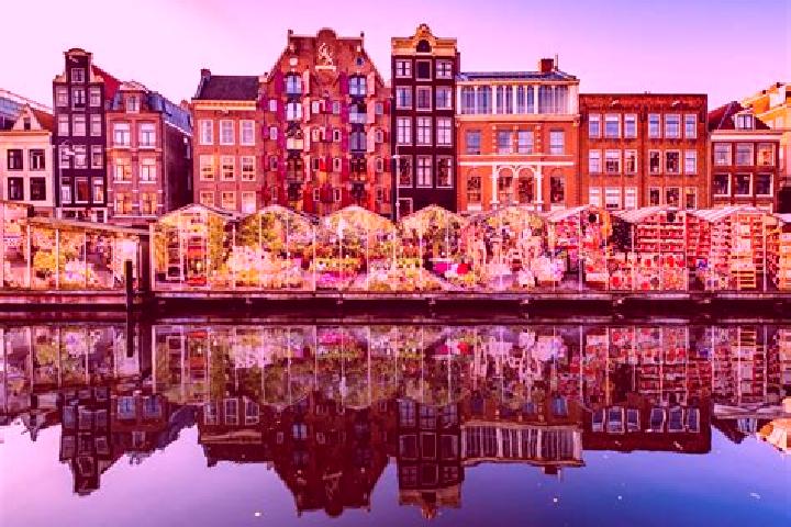 Escorts Gemonde, Netherlands — Local Companions