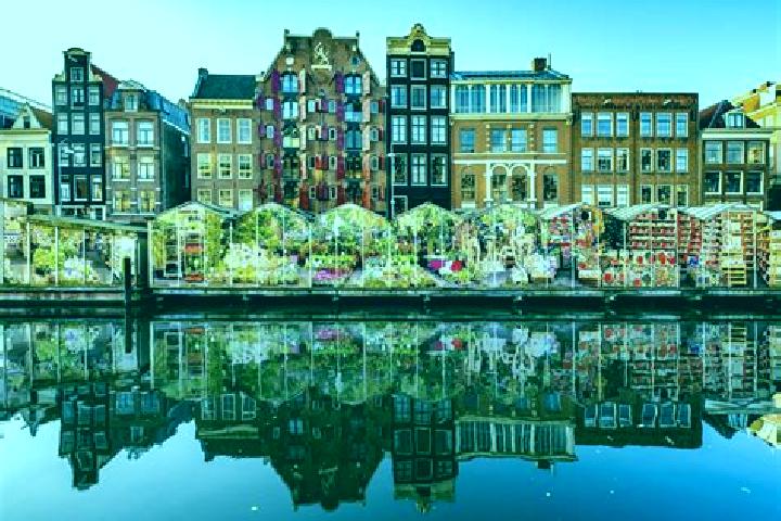 Escorts Genoenhuis, Netherlands — Local Companions