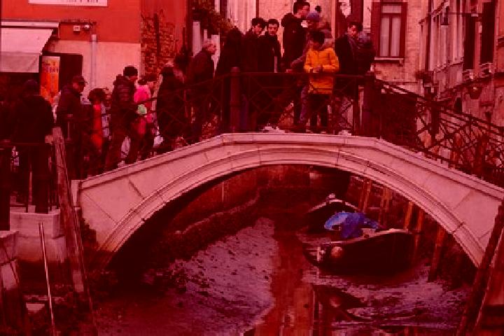 Escorts Gerbido, Italy — Local Companions