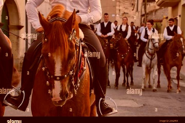 Escorts Gergei, Italy — Local Companions