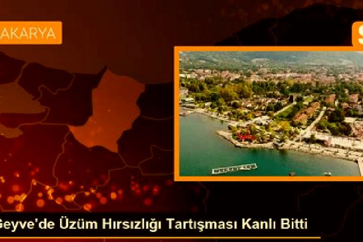 Escorts Geyve, Turkey — Local Companions