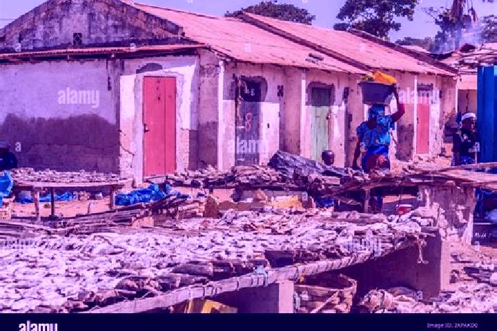 Escorts Ghana Town, Gambia — Local Companions