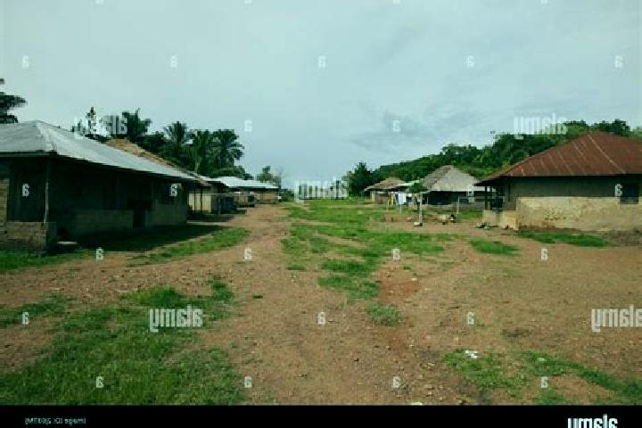 Escorts Giehun, Sierra Leone — Local Companions
