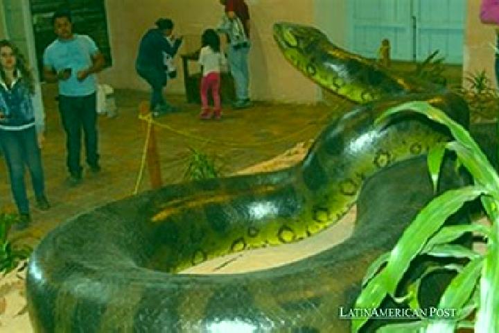 Escorts Gigante, Colombia — Local Companions