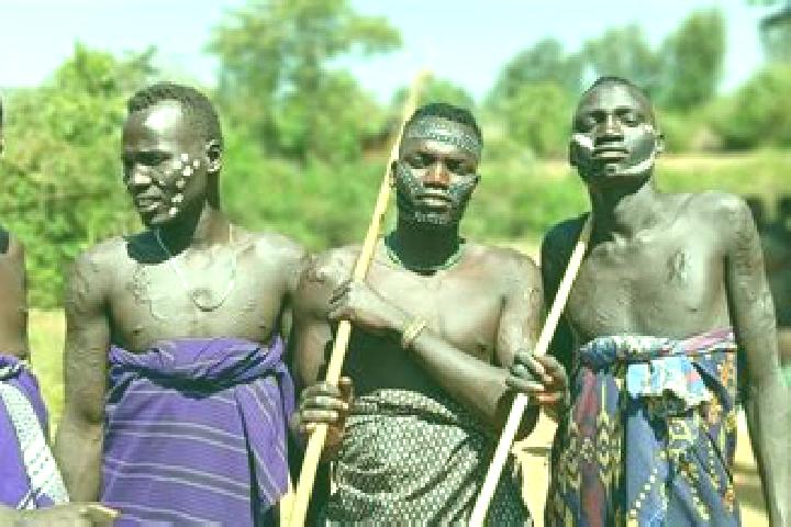 Escorts Gimbi, Ethiopia — Local Companions
