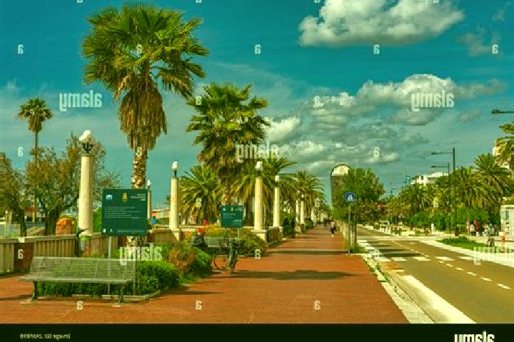 Escorts Giulianova, Italy — Local Companions