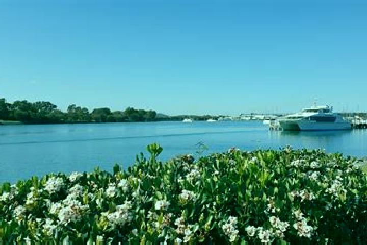 Escorts Gladstone, Australia — Local Companions