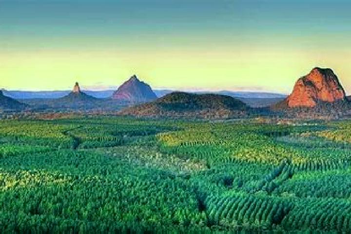 Escorts Glass House Mountains, Australia — Local Companions