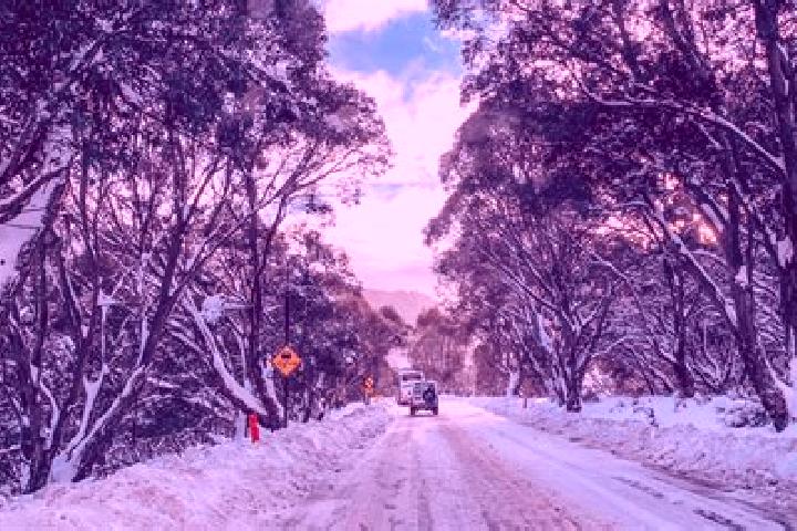 Escorts Glen Alpine, Australia — Local Companions
