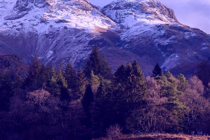 Escorts Glencoe, Canada — Local Companions