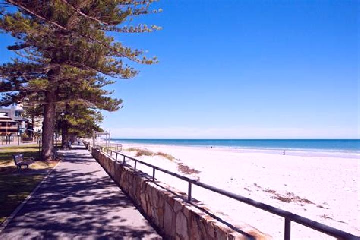 Escorts Glenelg South, Australia — Local Companions
