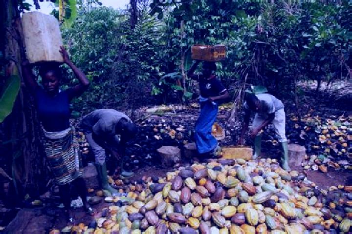 Escorts Gnago, Ivory Coast — Local Companions