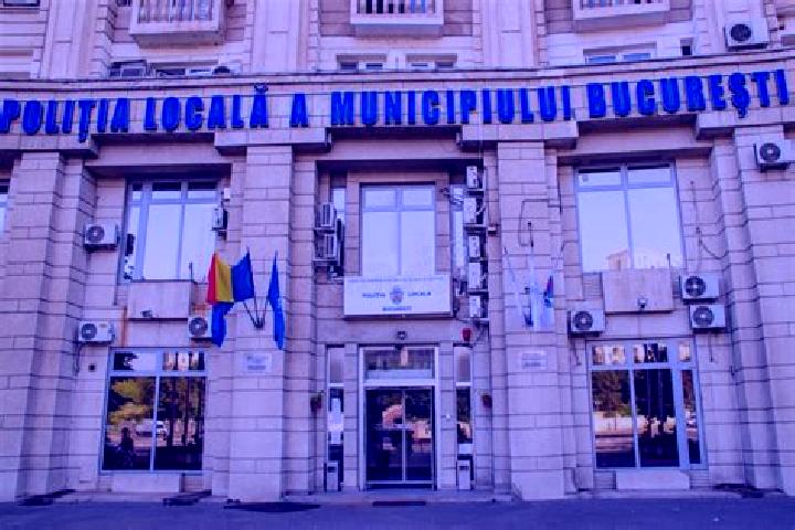 Escorts Goagiu, Romania — Local Companions