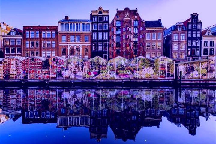 Escorts Goedereede, Netherlands — Local Companions