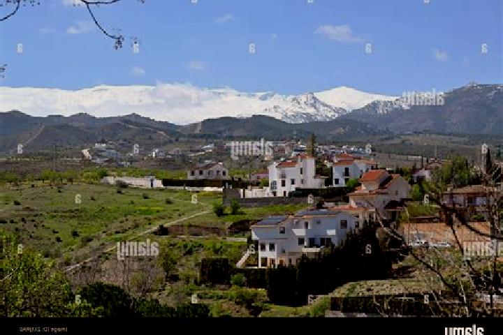 Escorts Gojar, Spain — Local Companions