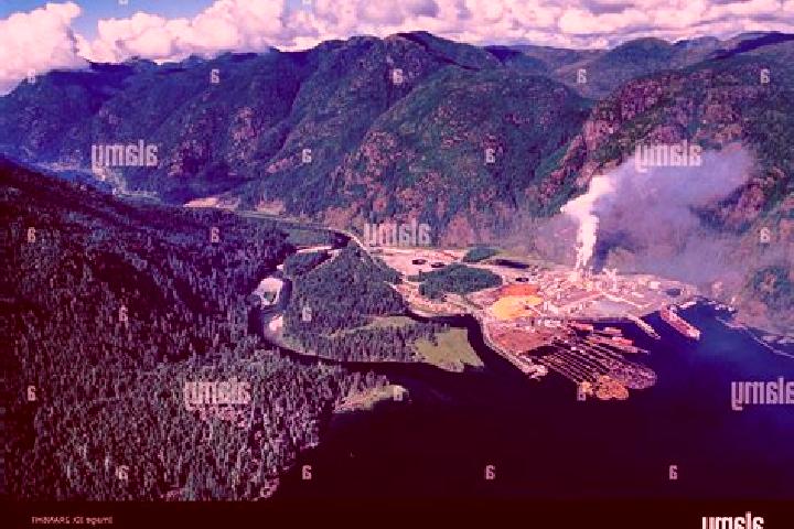 Escorts Gold River, Canada — Local Companions