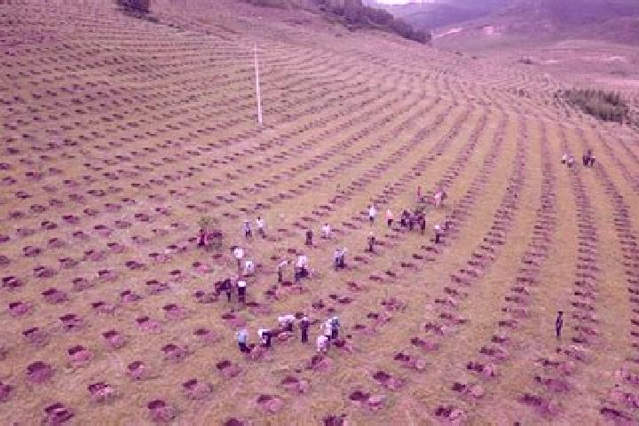 Escorts Golmud, China — Local Companions