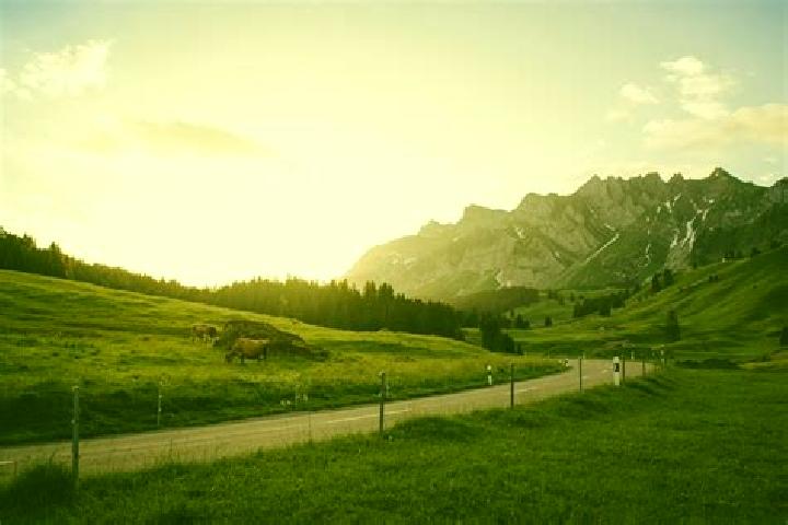 Escorts Gommiswald, Switzerland — Local Companions