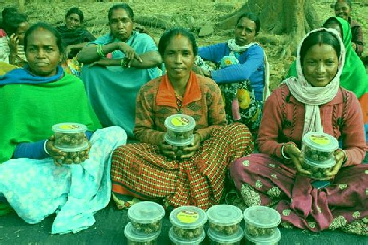 Escorts Gond Pipri, India — Local Companions