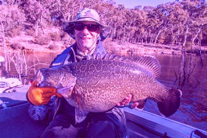 Escorts Googong, Australia — Local Companions