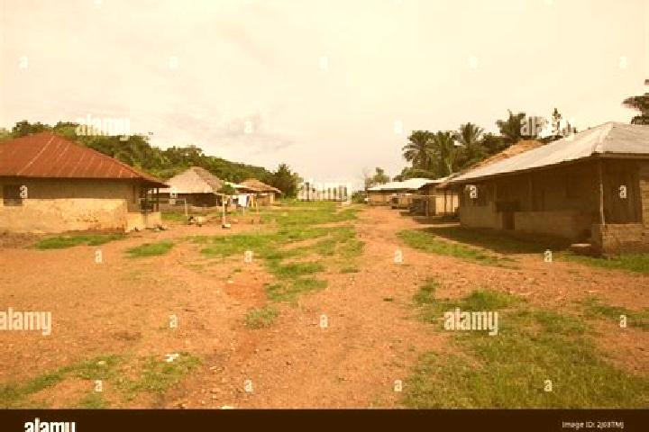 Escorts Gorahun, Sierra Leone — Local Companions