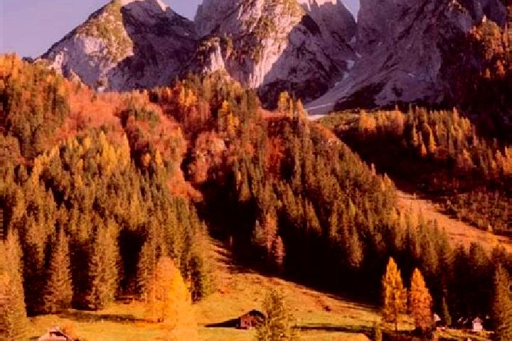 Escorts Gosau, Austria — Local Companions