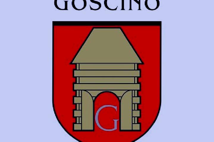 Escorts Goscino, Poland — Local Companions