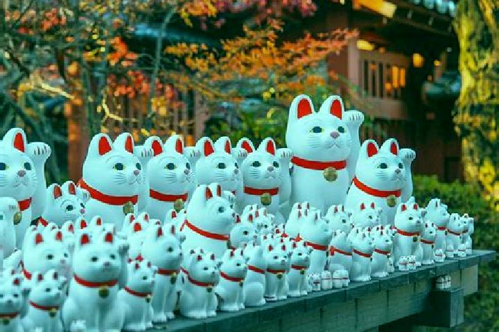 Escorts Gotokuji, Japan — Local Companions