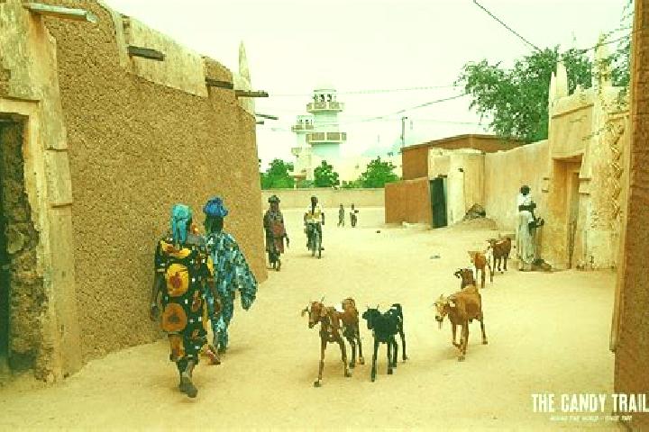 Escorts Goure, Niger — Local Companions