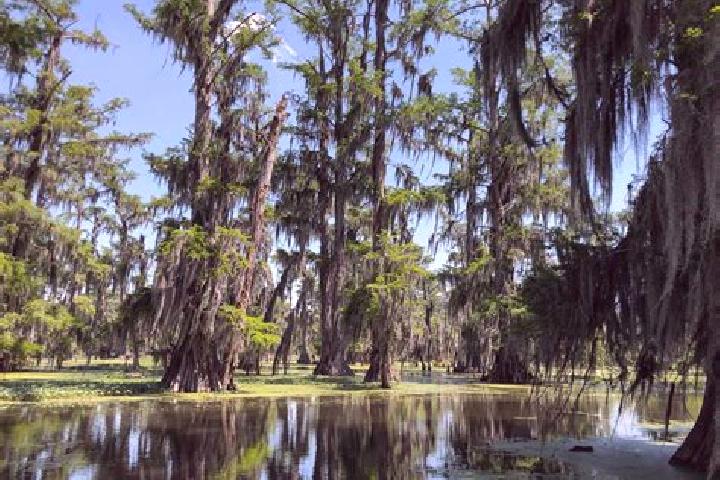Escorts Grand Bayou Mobile Home Park, United States — Local Companions