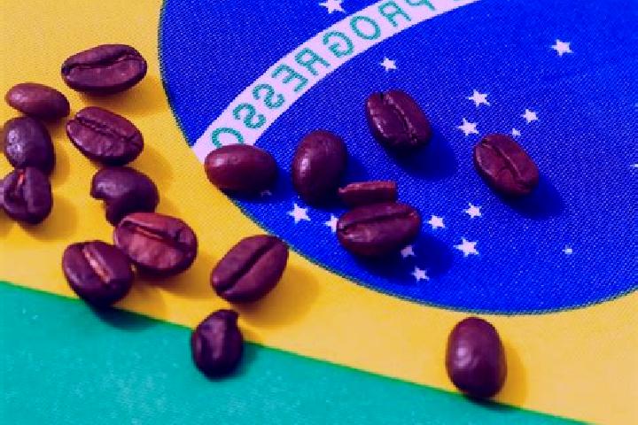 Escorts Grao-Para, Brazil — Local Companions