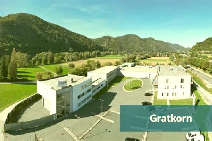 Escorts Gratkorn, Austria — Local Companions