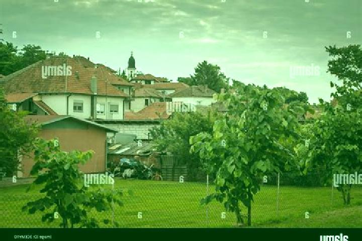Escorts Grocka, Serbia — Local Companions