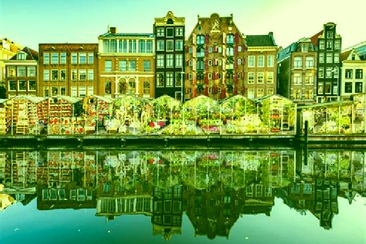 Escorts Groenekan, Netherlands — Local Companions