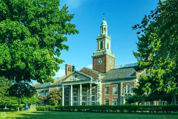 Escorts Grosse Pointe Farms, United States — Local Companions