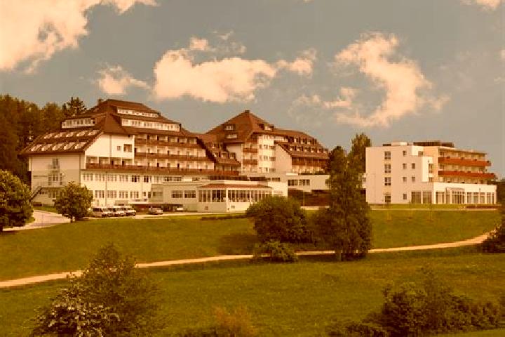 Escorts Grosspertholz, Austria — Local Companions