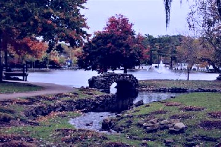Escorts Grove Park, United States — Local Companions