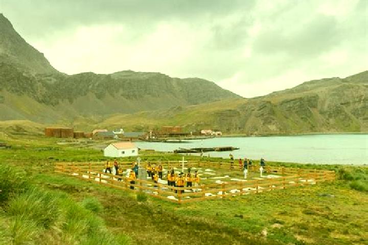 Escorts Grytviken, South Georgia — Local Companions