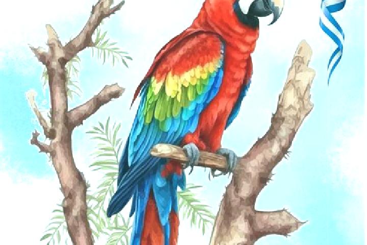 Escorts Guacamaya, Honduras — Local Companions